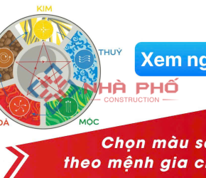 Xem màu sắc ngũ hành